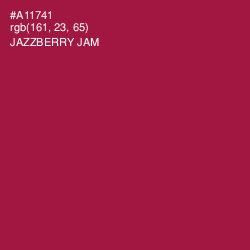 #A11741 - Jazzberry Jam Color Image